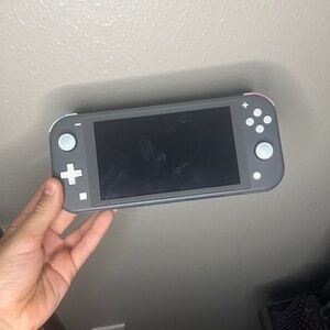Nintendo switch light